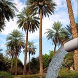 Telegram profile photo for قناة مهندسي العراق