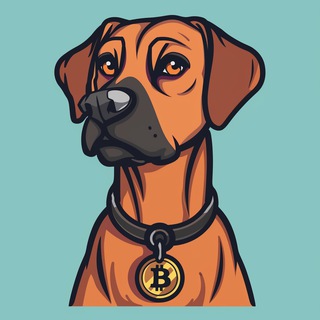 Telegram profile photo for Arky