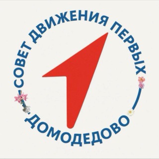 Telegram profile photo for Совет Первых | Домодедово
