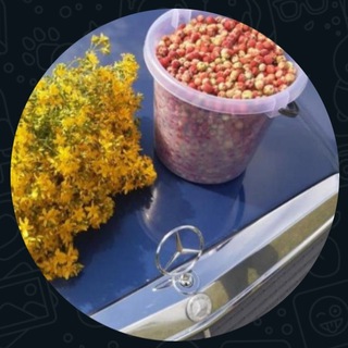 Telegram profile photo for Авторынок Башкортостана
