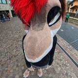 Telegram profile photo for Pit Stop