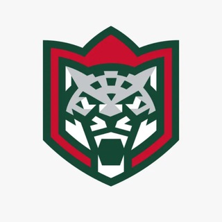 Telegram profile photo for Болеем за Ак Барс 🏒| Трансляции и новости