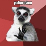 Telegram profile photo for нимбусня