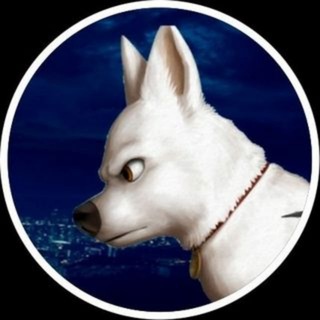 Telegram profile photo for Boltgamer اخبار