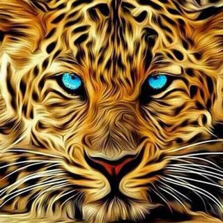 Telegram profile photo for رئيقه'ۦ