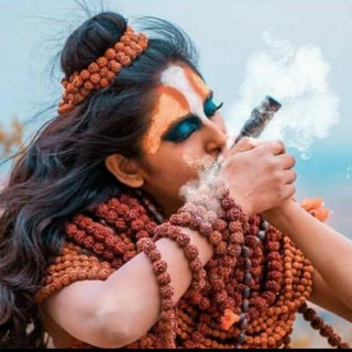 Telegram profile photo for 💥👊 👹सट्टे का शेर 👹👊💥