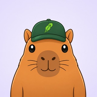 Telegram profile photo for Kapiscout - Portal Link | Robinhood