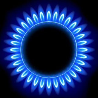 Telegram profile photo for NG-channel
