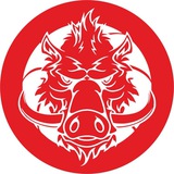 Telegram profile photo for «Вепрь» | Баскетбольный клуб