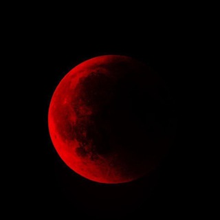 Telegram profile photo for Bloody Eclipse