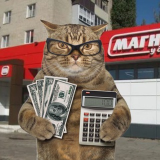 Telegram profile photo for PROMOкотик | Скидки | Бонусы | Акции