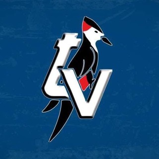 Telegram profile photo for TV Centro Marche
