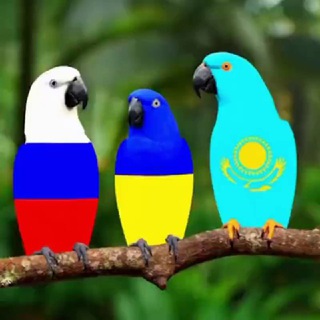Telegram profile photo for Канал чурки