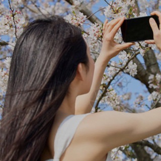 Telegram profile photo for 合肥学公开榜2.0