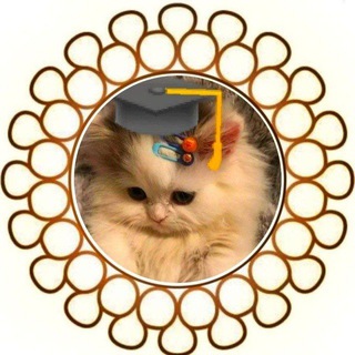 Telegram profile photo for حلول ألف ثاني عشر متقدم