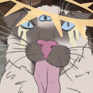 Telegram profile photo for 🌿🌻 ᴀʀᴄᴀɪᴍ 🌻🌿