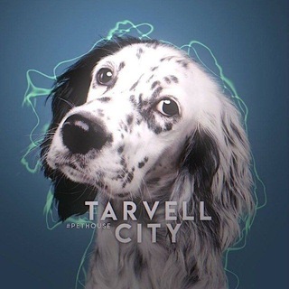Telegram profile photo for Ꭲᴀrvᴇll Ꮯiᴛy