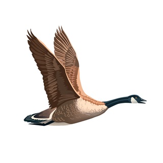 Telegram profile photo for Воскресение