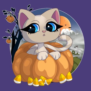 Telegram profile photo for Кисаоши петшопоголик коллекшионер🐱
