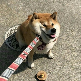 Telegram profile photo for enit moppiiee