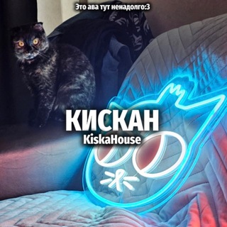 Telegram profile photo for КИСКАHouse