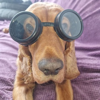 Telegram profile photo for Канал бетты 2.0