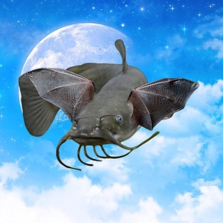 Telegram profile photo for clarias archive 🧌
