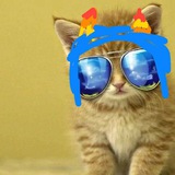 Telegram profile photo for лімоня ліквідована❌🧁
