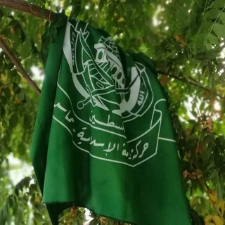 Telegram profile photo for حماس العز💚