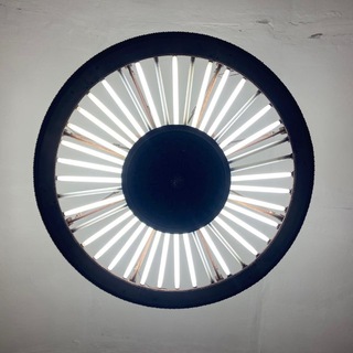 Telegram profile photo for ๐ต๐๐๐ ๐๐๐๐ ๐๐๐๐ ๐ผ๐