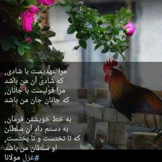 Telegram profile photo for به یاد انوشه