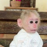 Telegram profile photo for переходник