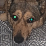 Telegram profile photo for хинка ленка