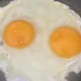 Telegram profile photo for Senior Comps