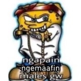 Telegram profile photo for spall spill @vulkanisir