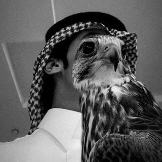 Telegram profile photo for ˼↵♯̶ بداوووه ـ˹𓍼ོ𓆲🇶🇦.