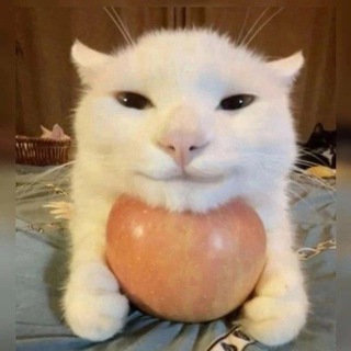 Telegram profile photo for Вивиня