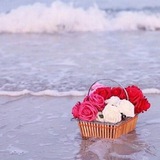 Telegram profile photo for قناة جسور إرشادية