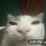 Telegram profile photo for ꯭͟͟ 𝅄 ׁ 𓈒 𝔏𝗈𝗋𝖽 𝓜𝗮𝘀𝗮𝗿𝘂! 𝇌 ۫ ॒ ִ