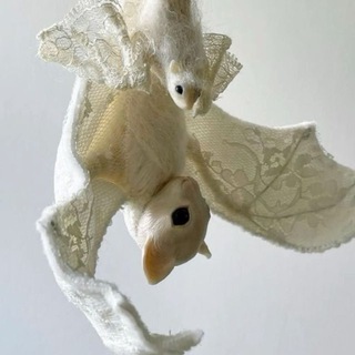 Telegram profile photo for white bat