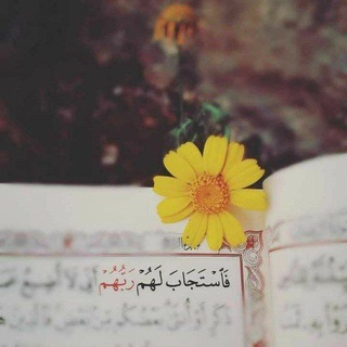 Telegram profile photo for يَكادُ يُضِيء ||°
