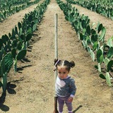 Telegram profile photo for گلدون و گلخانه من