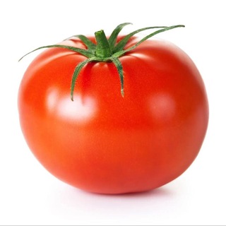Telegram profile photo for Tomato