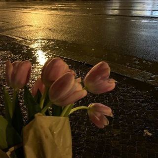 Telegram profile photo for Sᥫ᭡