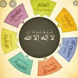 Telegram profile photo for الشيخ مراد عبدالحميد المصري 📚