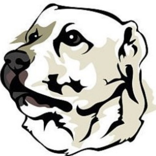Telegram profile photo for Приют Больших Собак