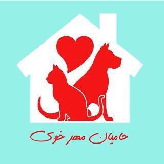 Telegram profile photo for کانال حمایت از حیوانات خوی