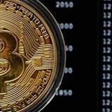 Telegram profile photo for Cryptopia Pumps
