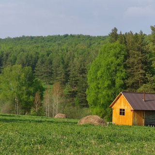Telegram profile photo for Девушка и Лес 🌱