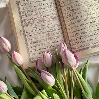 Telegram profile photo for متشابهات القرآن